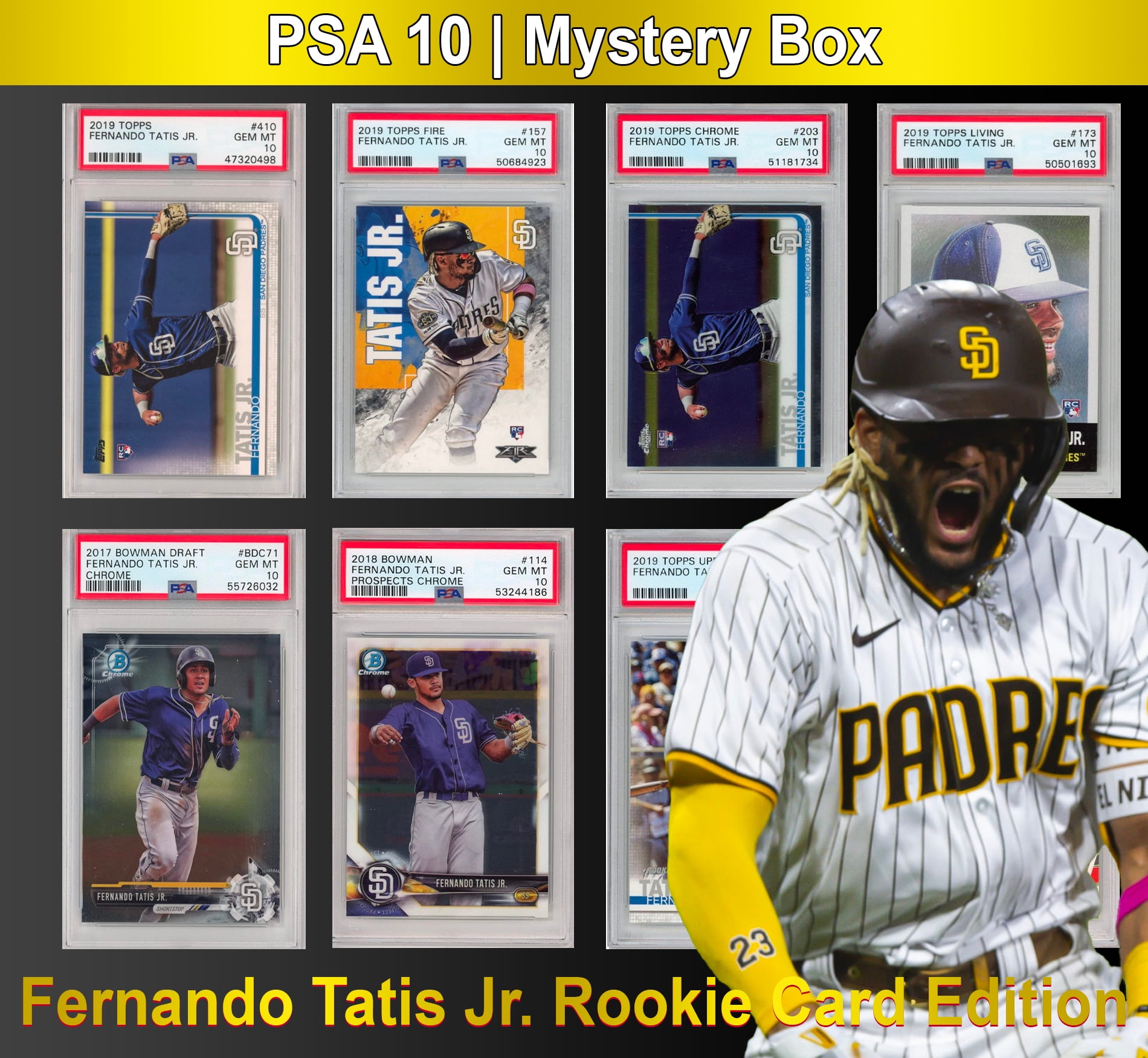 graded sports card mystery box Pokemon: Graded Surprise Box — BoardtopiaGames.com