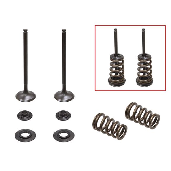 PSYCHIC EXHAUST VALVE KIT