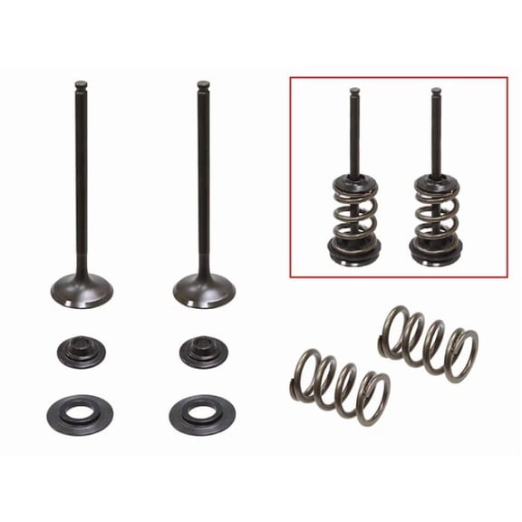 Psychic Exhaust Valve Kit