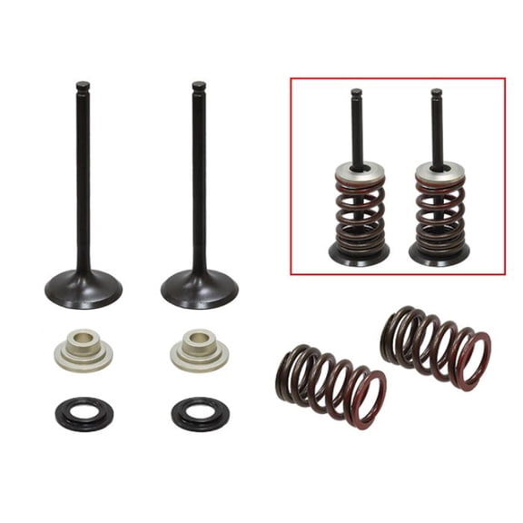 PSYCHIC EXHAUST VALVE KIT