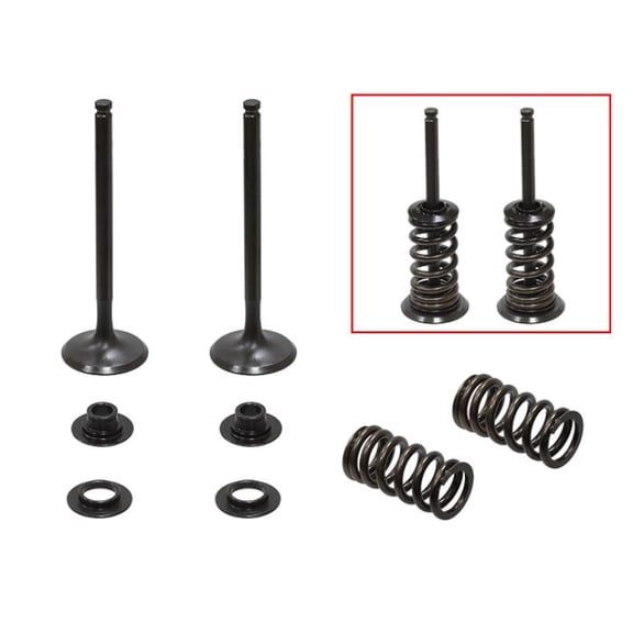 PSYCHIC EXHAUST VALVE KIT