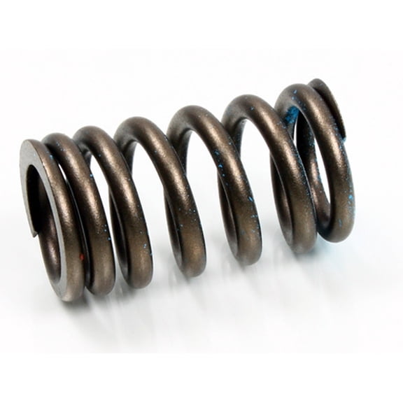 Psychic Exhaust Valve Spring