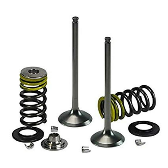 Psychic Products XU-09523-1IK Psychic Intake Valve Kit