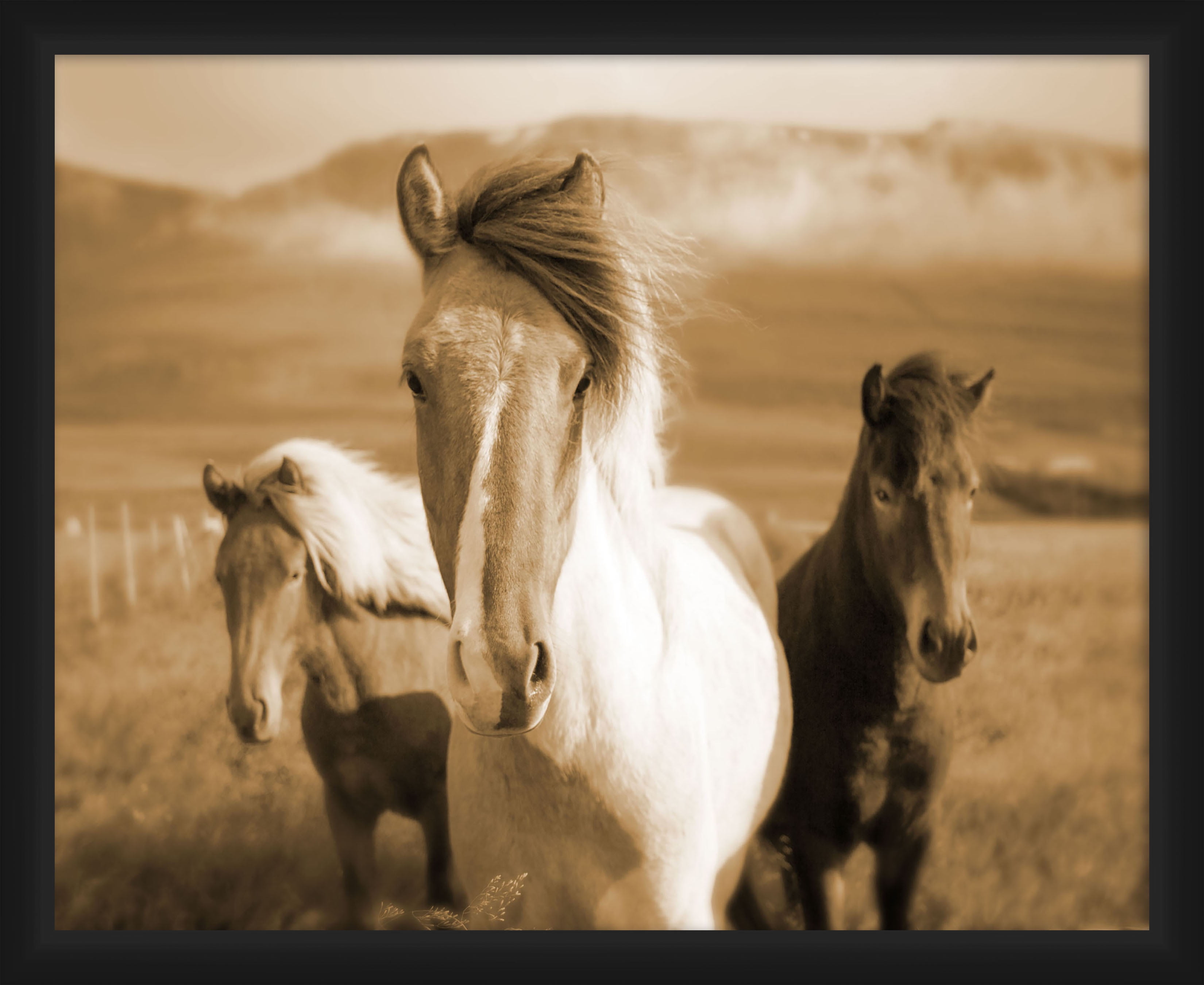 3 Horses