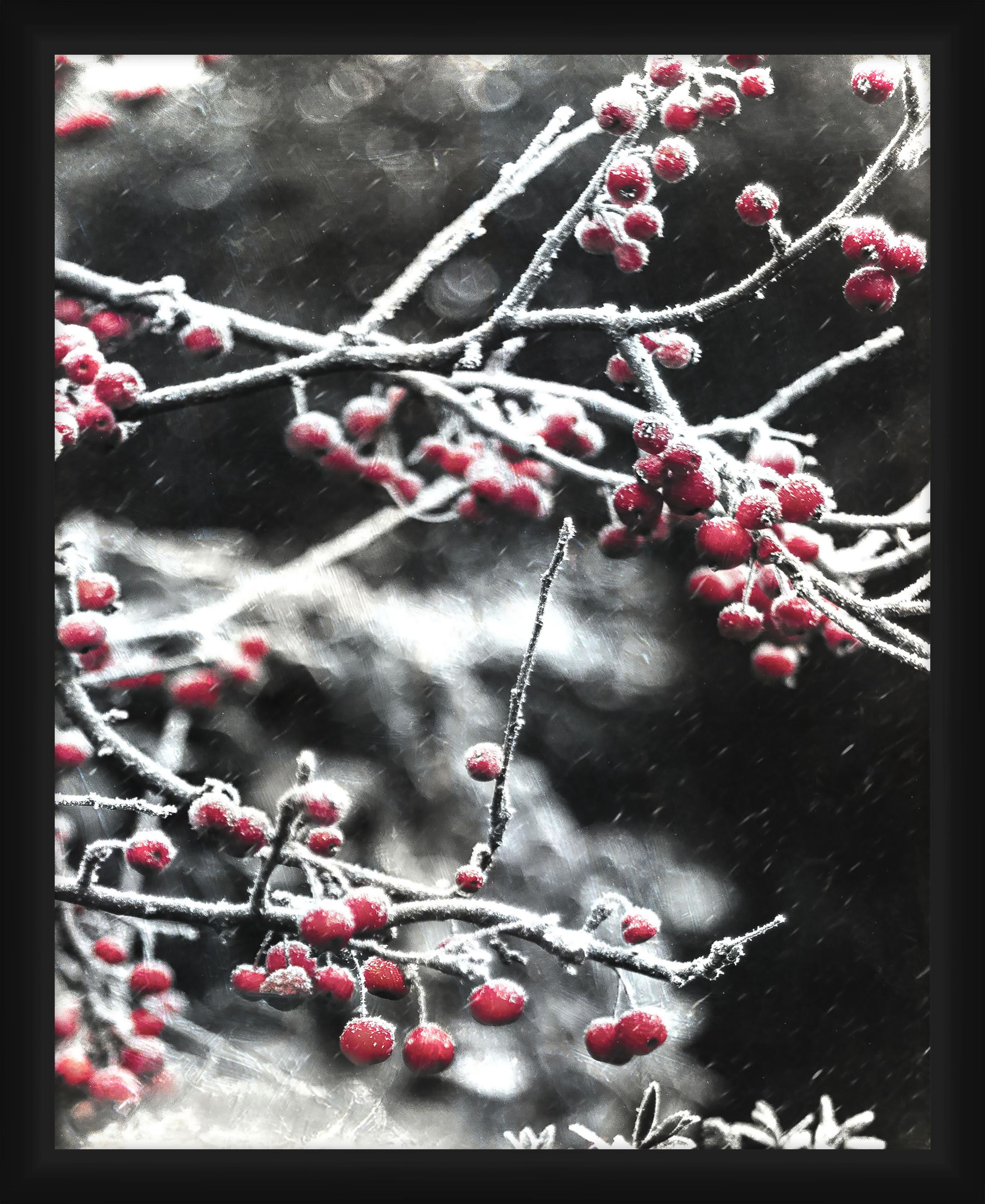 PTM Images,Cherry Tree