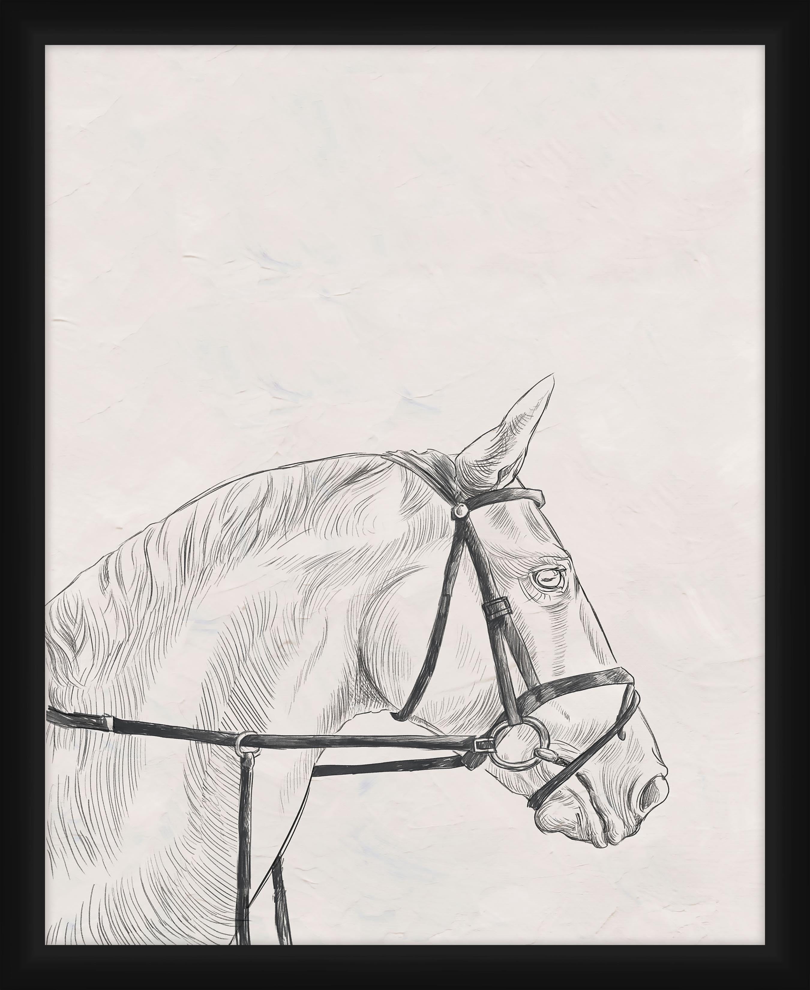 PTM Images,Drawn Horse