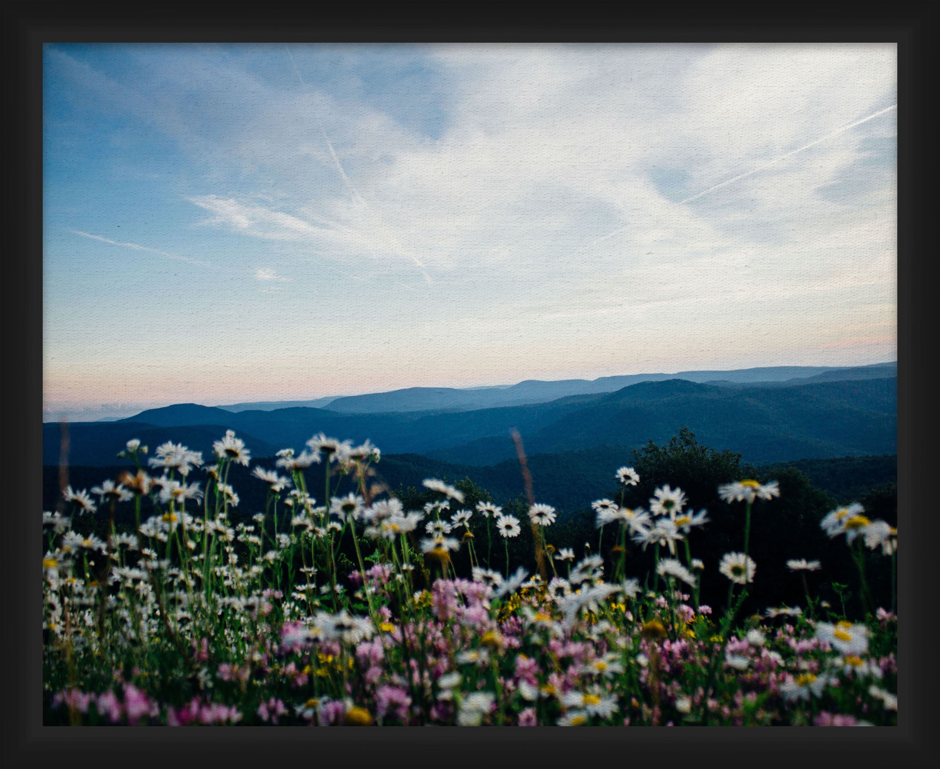PTM Images,Flowers