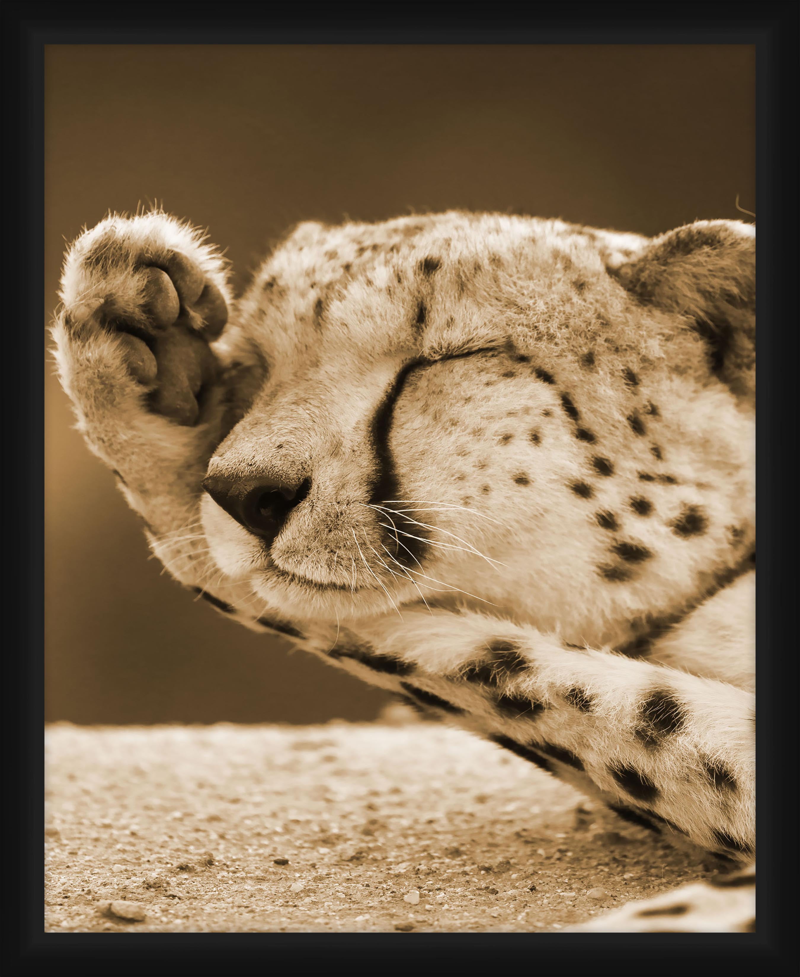 PTM Images Graphic Prints Abstract Framed Art Prints