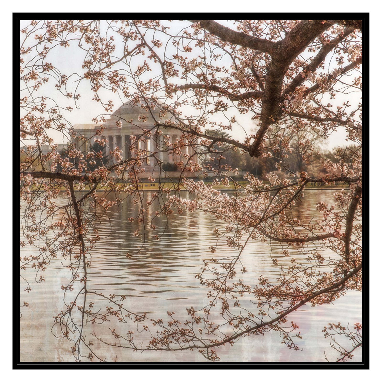 PTM Images Graphic Prints Abstract Framed Art Prints