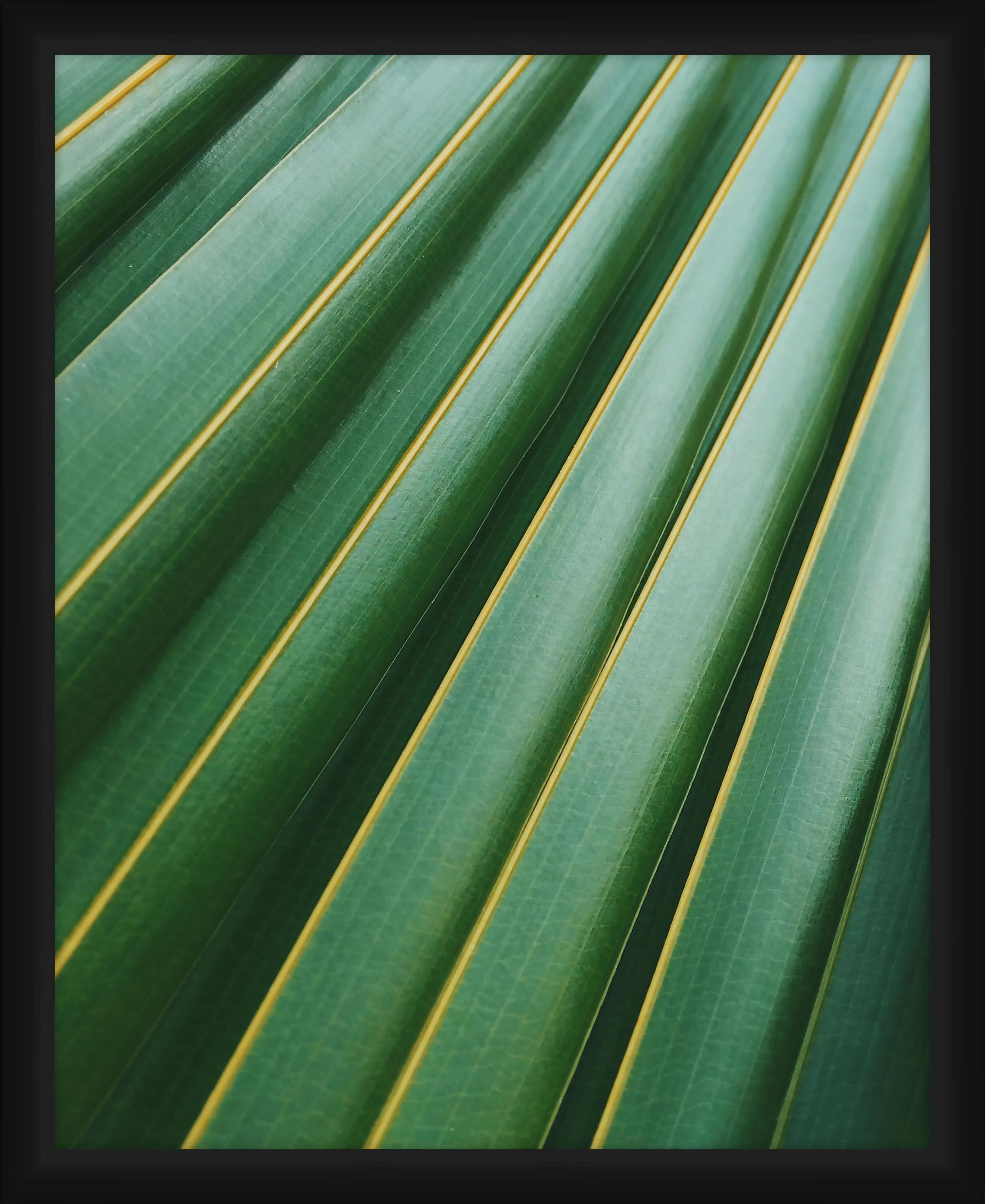 PTM Images Graphic Prints Abstract Framed Art Prints