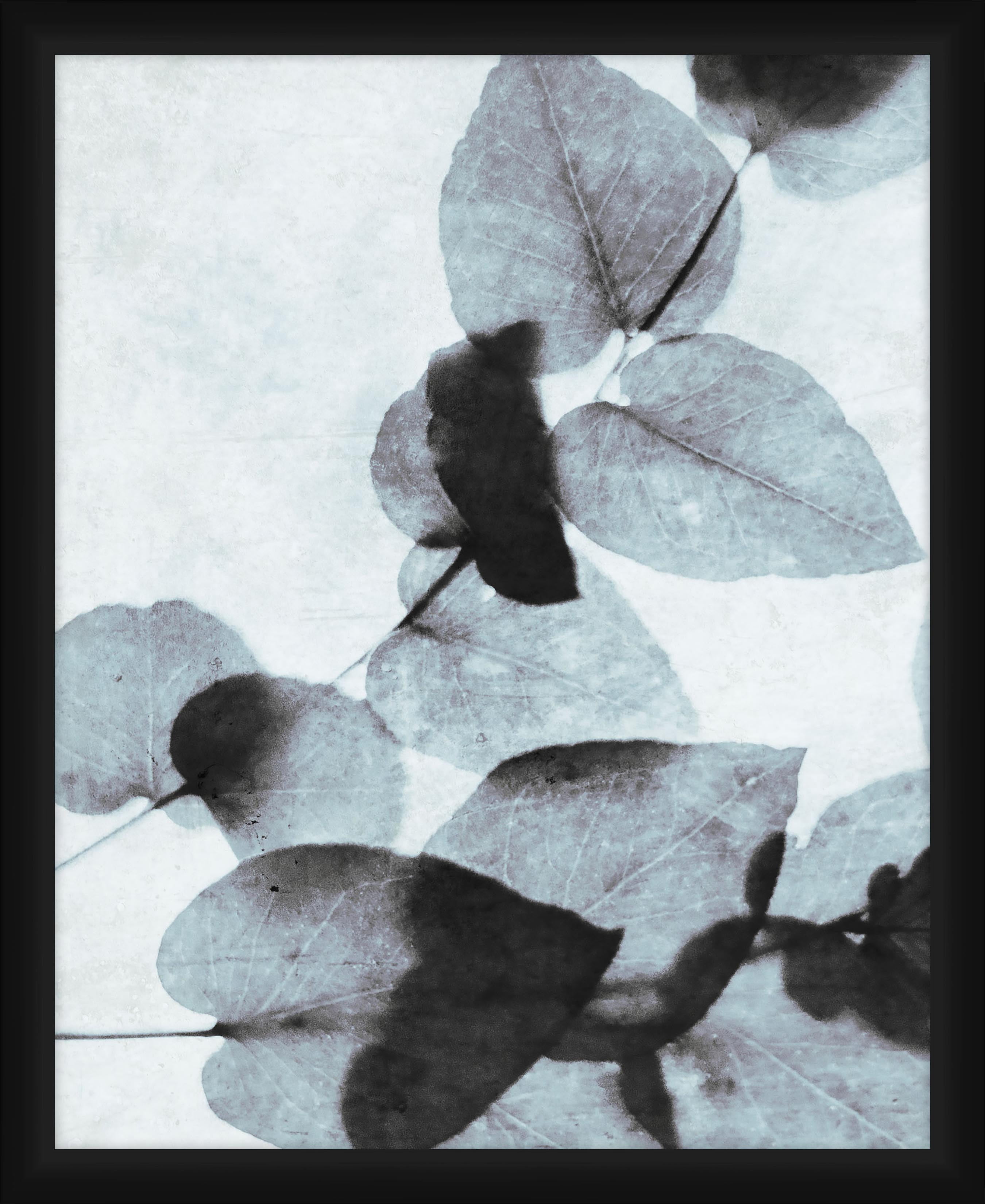 PTM Images Graphic Prints Abstract Framed Art Prints