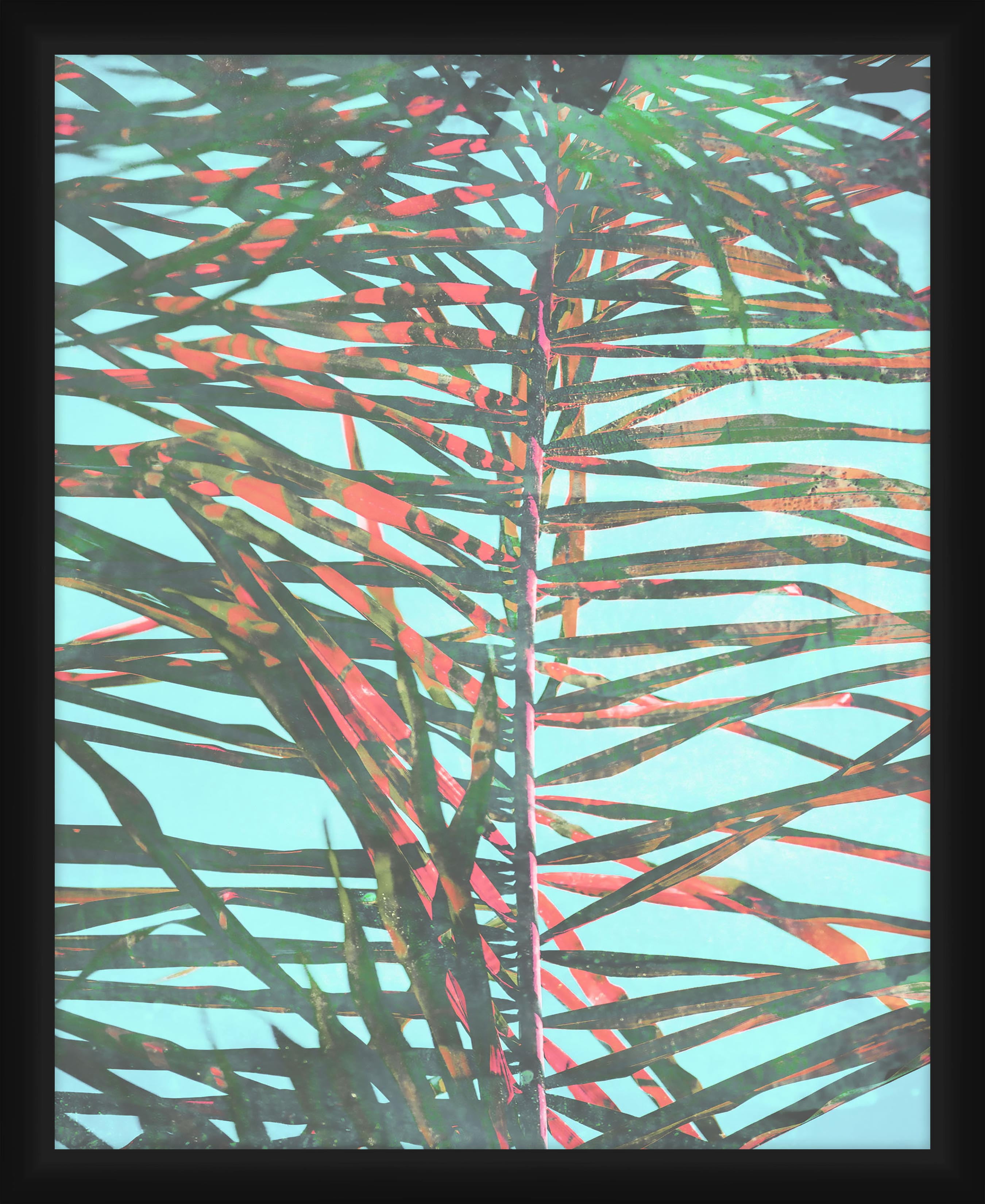 PTM Images Graphic Prints Flowers Framed Art Prints