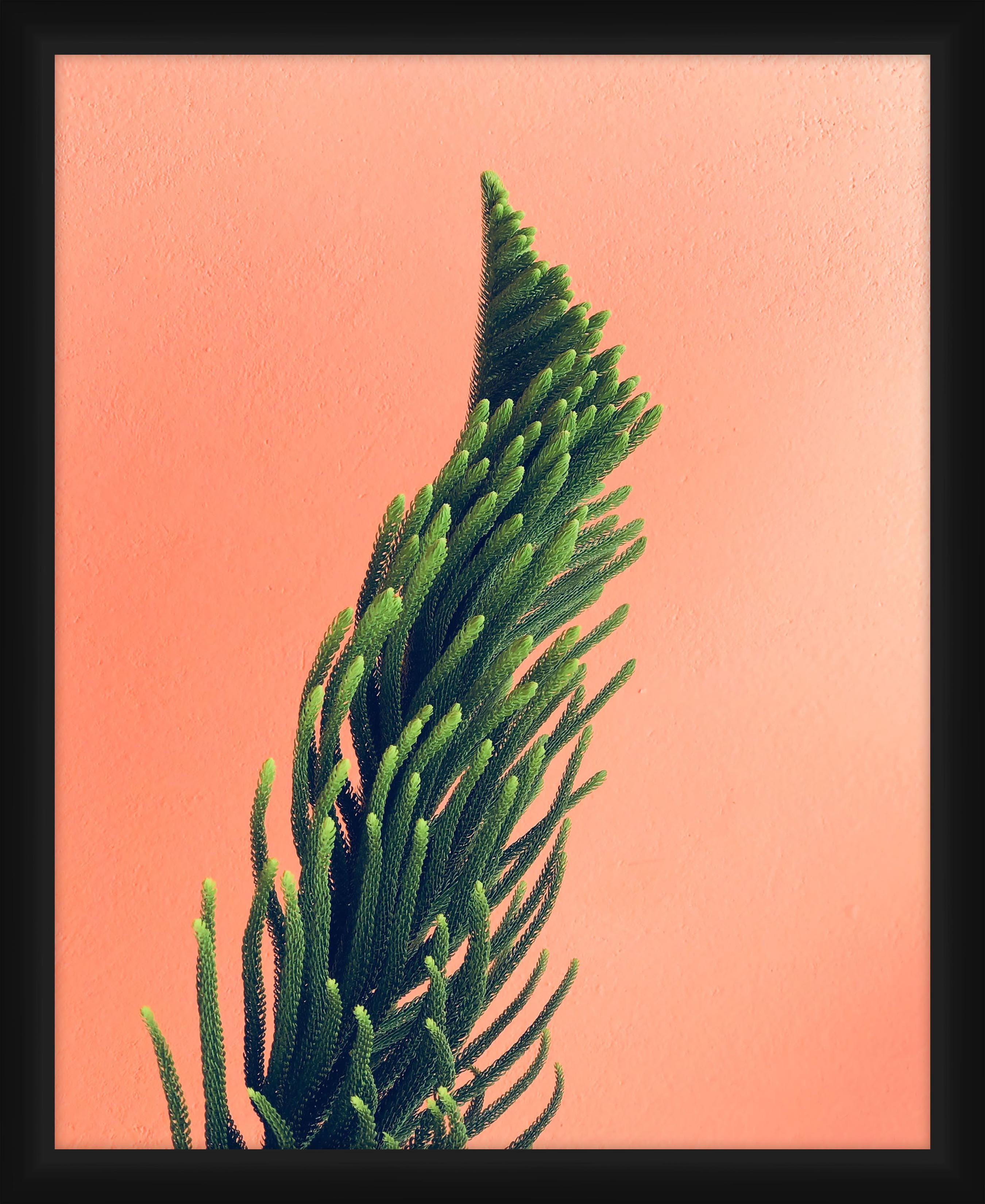 PTM Images Graphic Prints Underwater Framed Art Prints