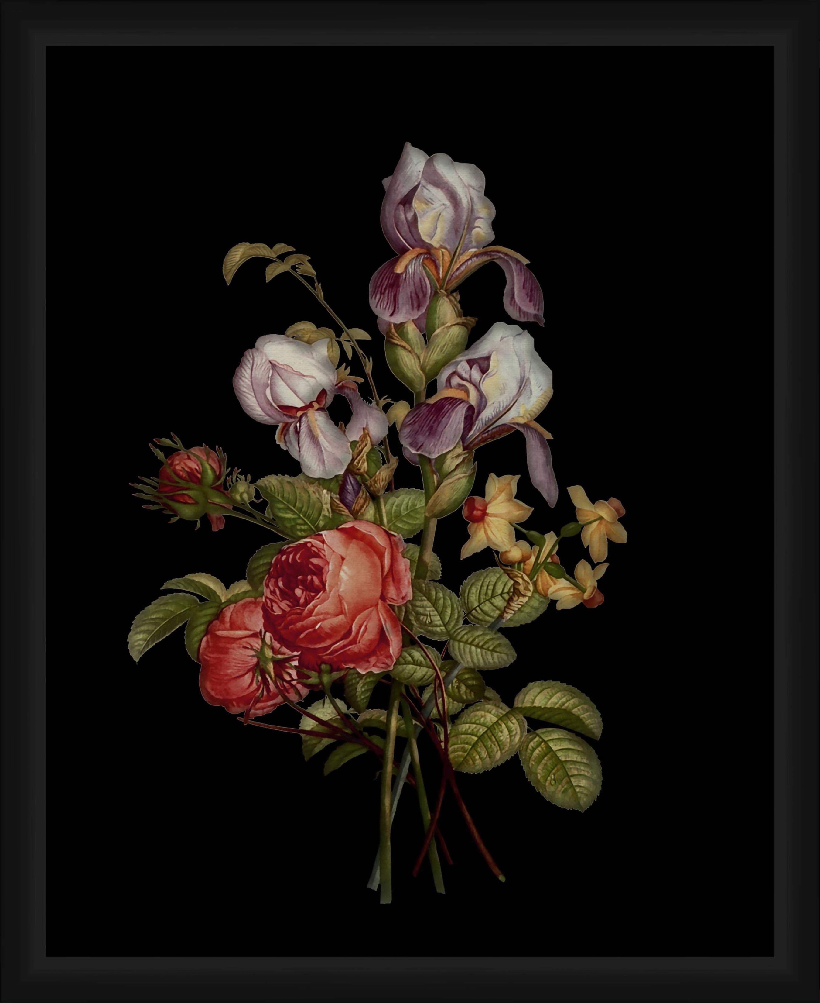 PTM Images Graphic Prints Vintage Framed Art Prints