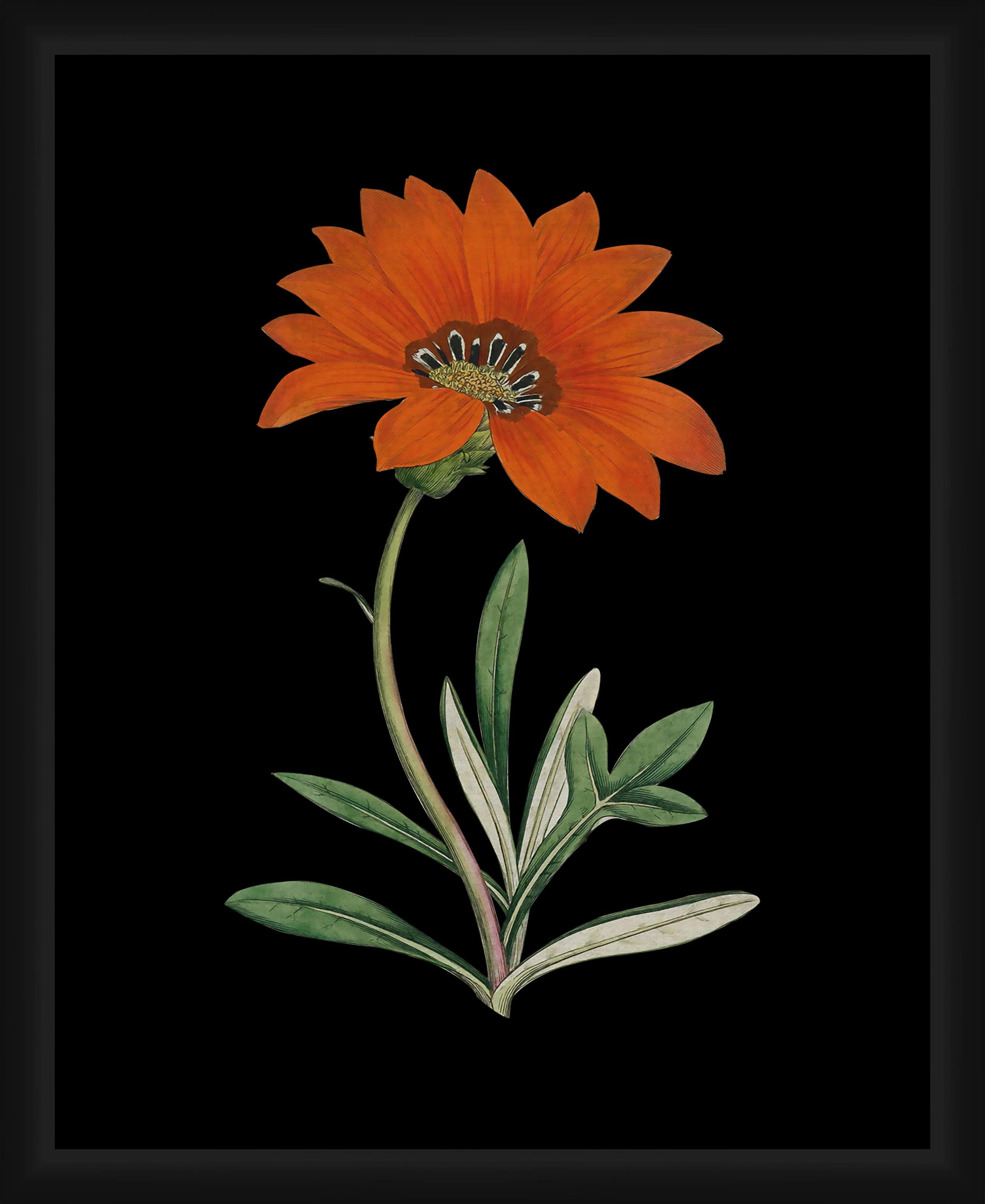 PTM Images Graphic Prints Vintage Framed Art Prints