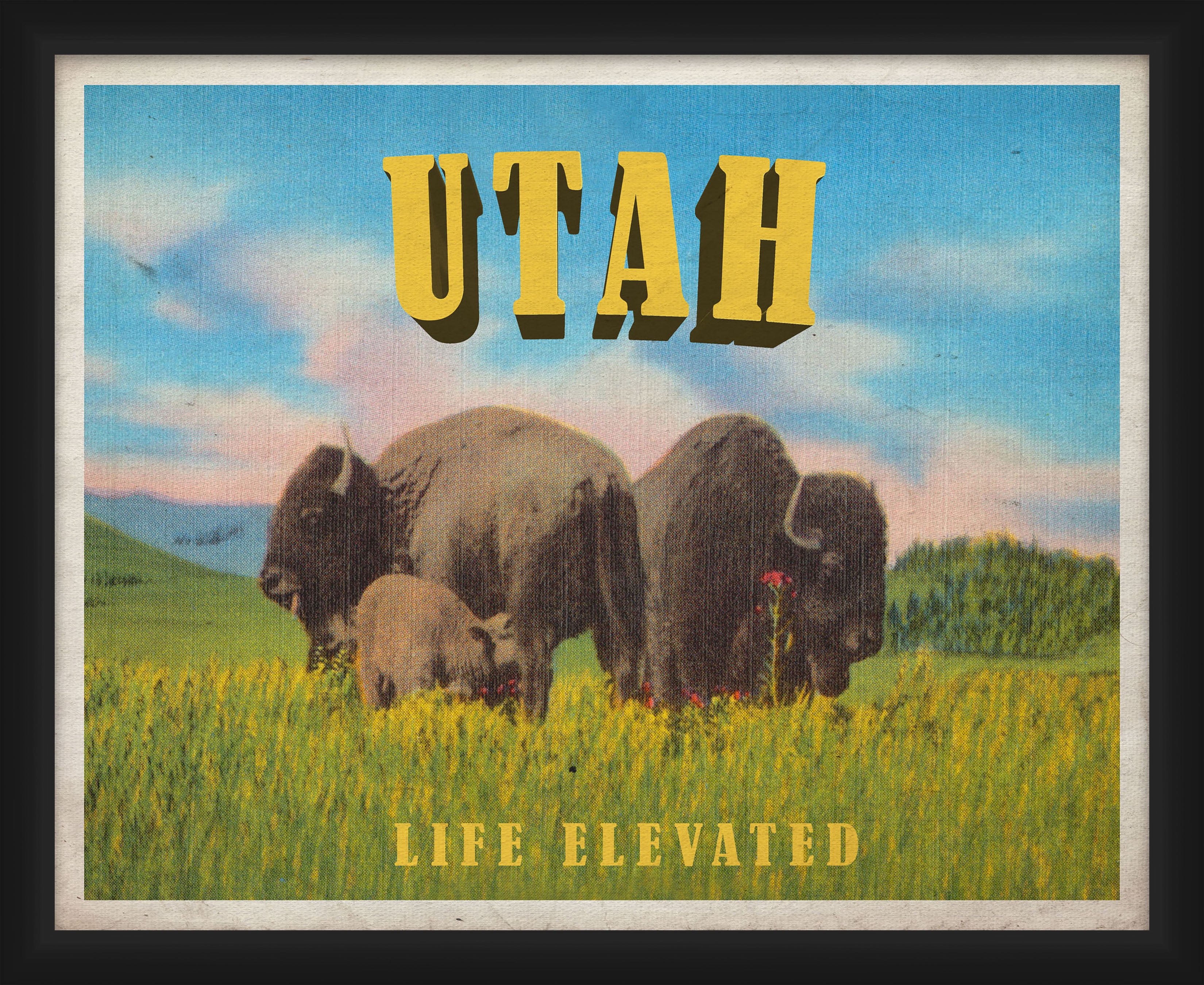 PTM Images,Life Elevated
