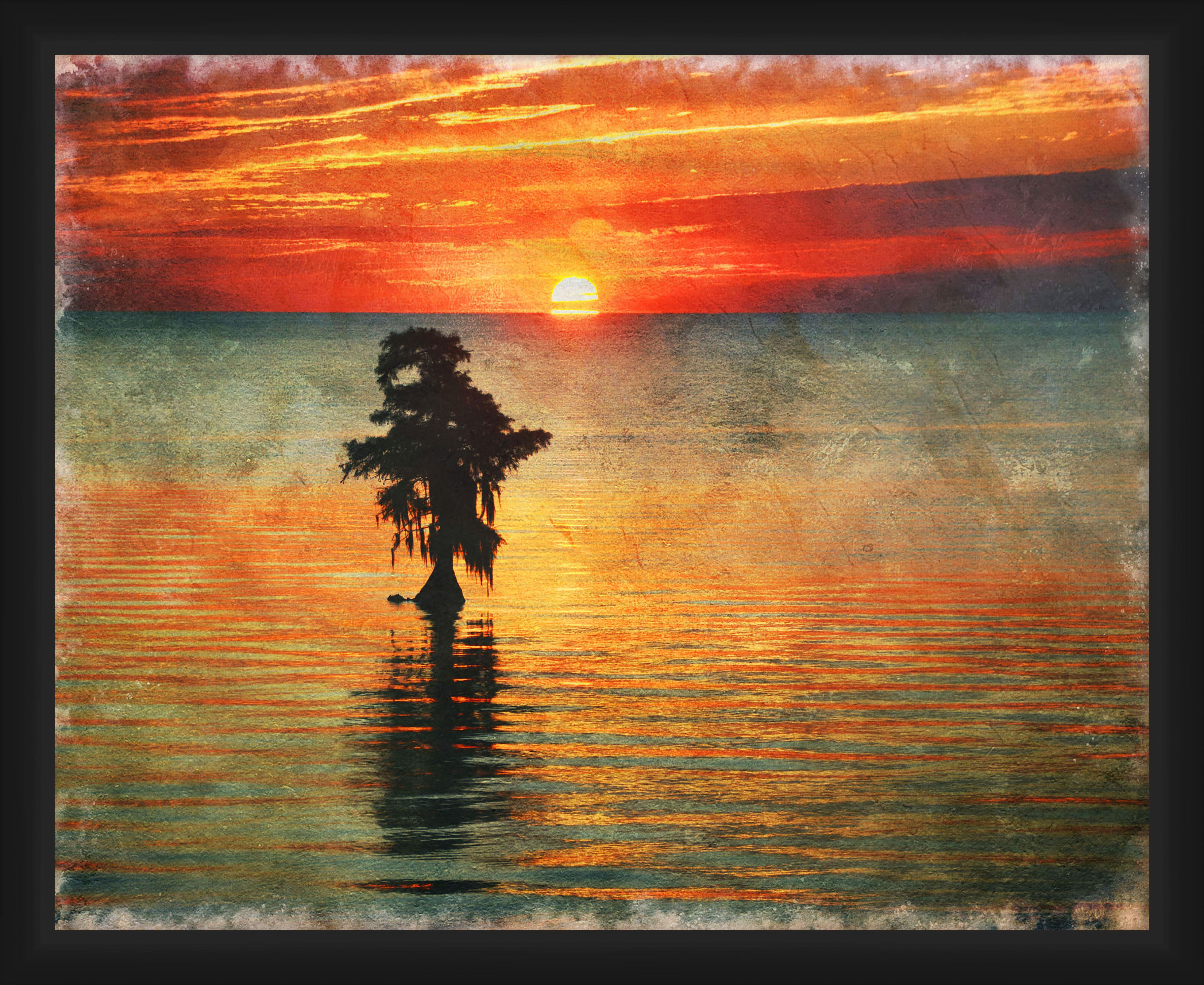 Sun Palm Tree