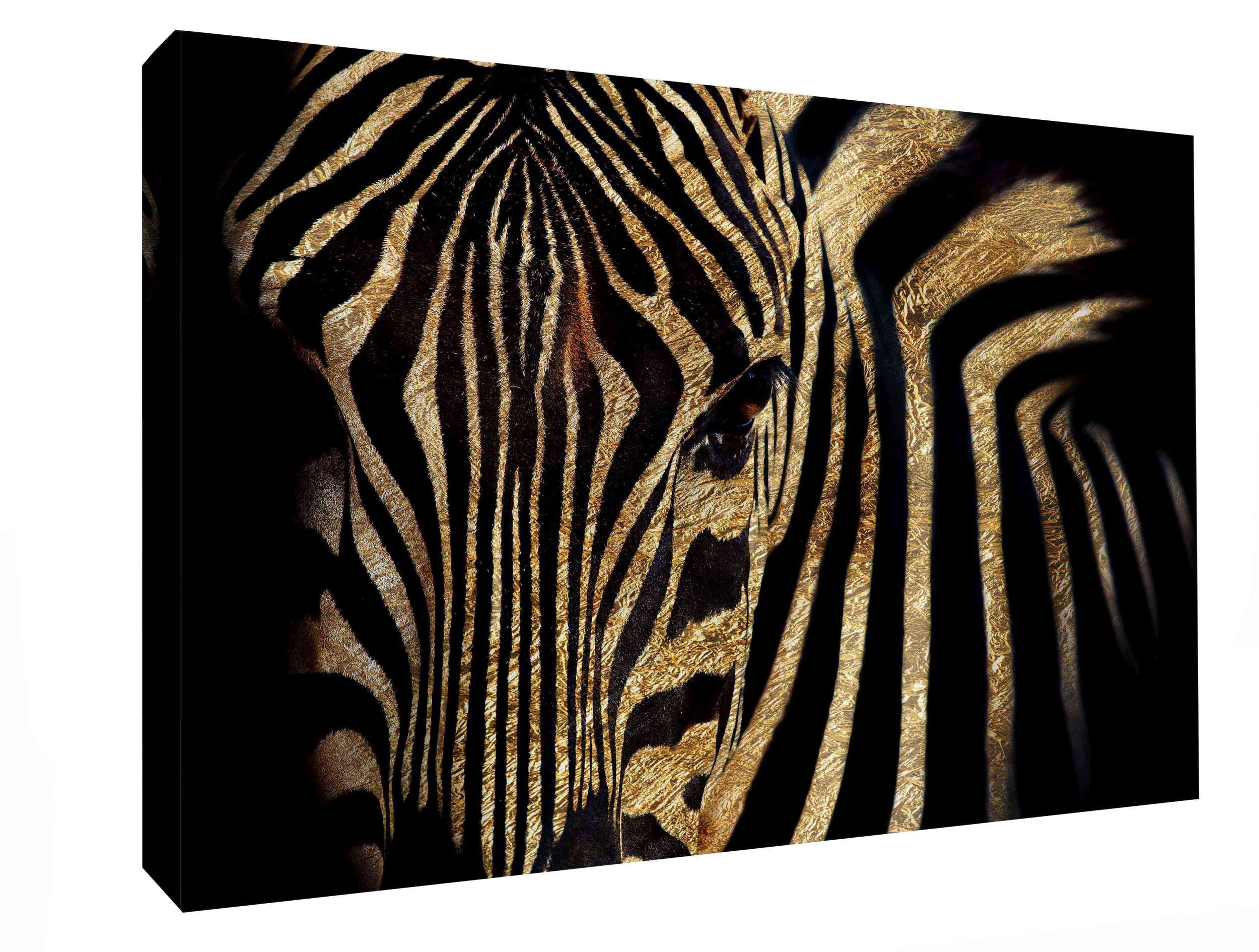 PTM Images,Wild Look, 16x20, Decorative Canvas Wall Art