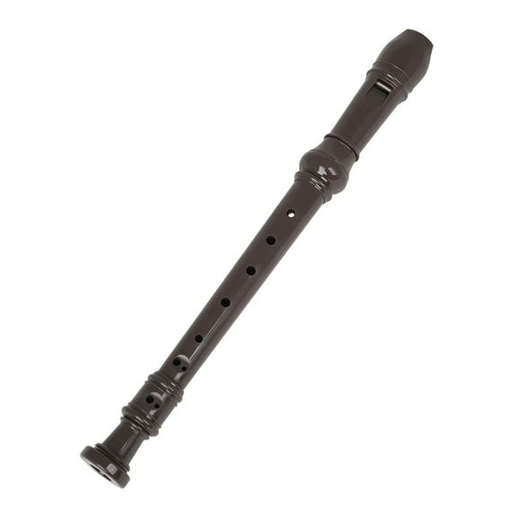 PTOOTP Portable Student Clarinet for Kids and Adults, Perfect Musical Instrument for Practice, Learning, and Beginner