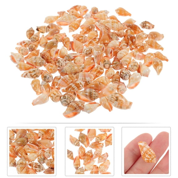 PTOOTP 100pcs Conch Decor Assorted Color Natural Shells DIY Craft Supplies 10.50.4in