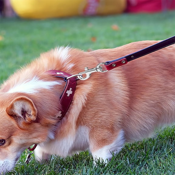 PTOOTP 10Pcs Heavy Duty Stainless Steel Leash Clips Silver Swivel Snap Hooks for Keychains