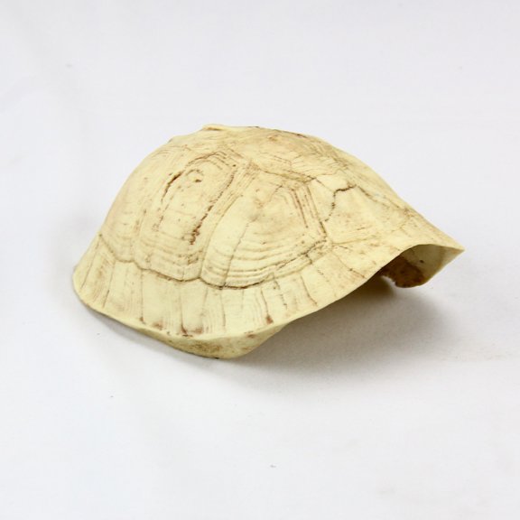 PTOOTP 1Pc Realistic Khaki Resin Turtle Shell Reptile Cave Durable Hide Rest Ornament