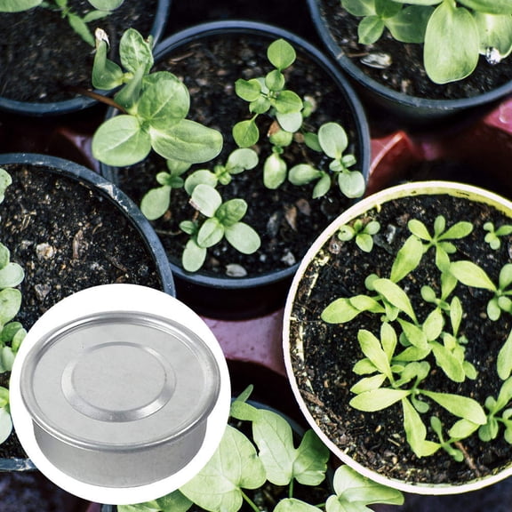 PTOOTP Stainless Steel Growing Tray with Mesh Design for Vegetable and Herb Plant Starter