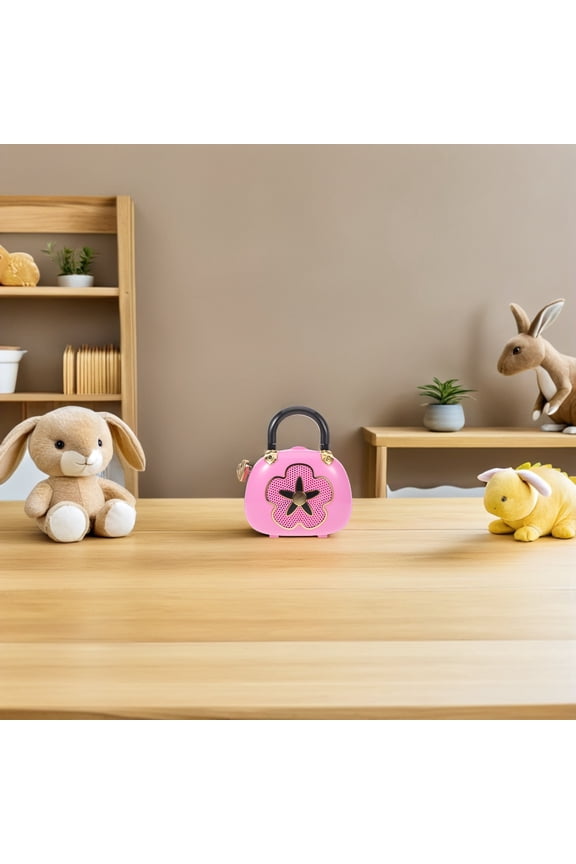 Portable Princess Jewelry Box with Ballet Music, Birthday , Jewelry Storage Organizer for Girls and Women