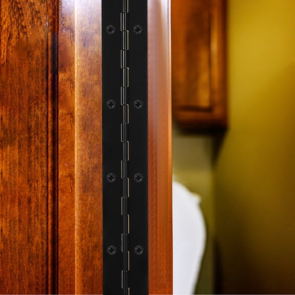PTOOTP 2-Pack Black Heavy Duty Metal Piano Door Hinges for Wood Cabinets with Screws Included, Hardware