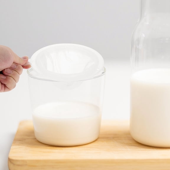 PTOOTP 2-Pack Kitchen Liquid Filter Mesh Strainer White Fine Mesh for Home Use and Cooking