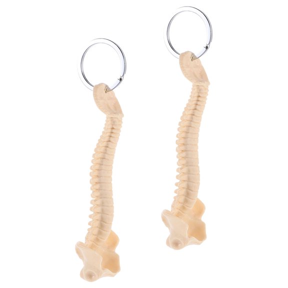 PTOOTP 2Pcs Light Yellow Realistic Human Spine Keychain Decorative Backpack Pendant Teaching Anatomy Model