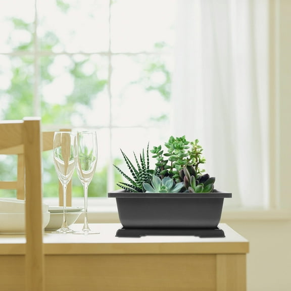 PTOOTP 2Sets Plastic Planter Pots for Holding Succulents and Cactus Plants 11.4*8.2*3.9in