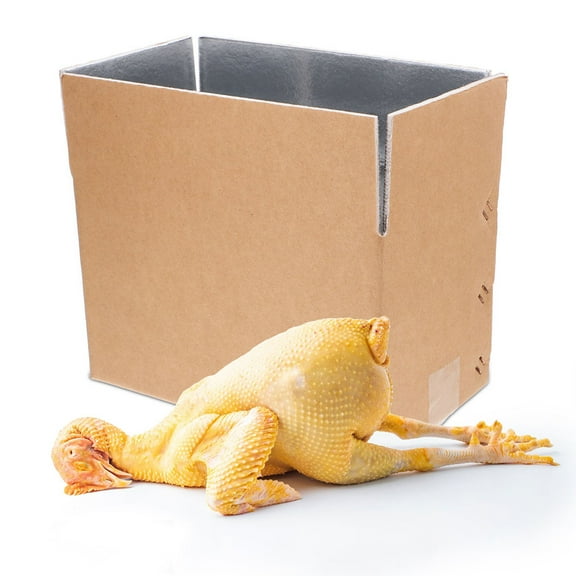 PTOOTP Insulated Cardboard Box for Seafood Cold Shipping, Easy to Assemble, and Leak-Resistant Packaging