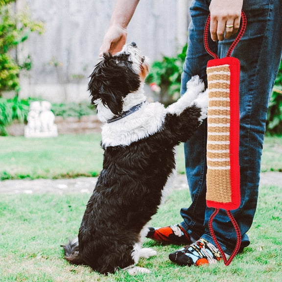 PTOOTP Pet Chew Stick for Medium Dogs Strong Hemp Material Improves Teeth Cleaning