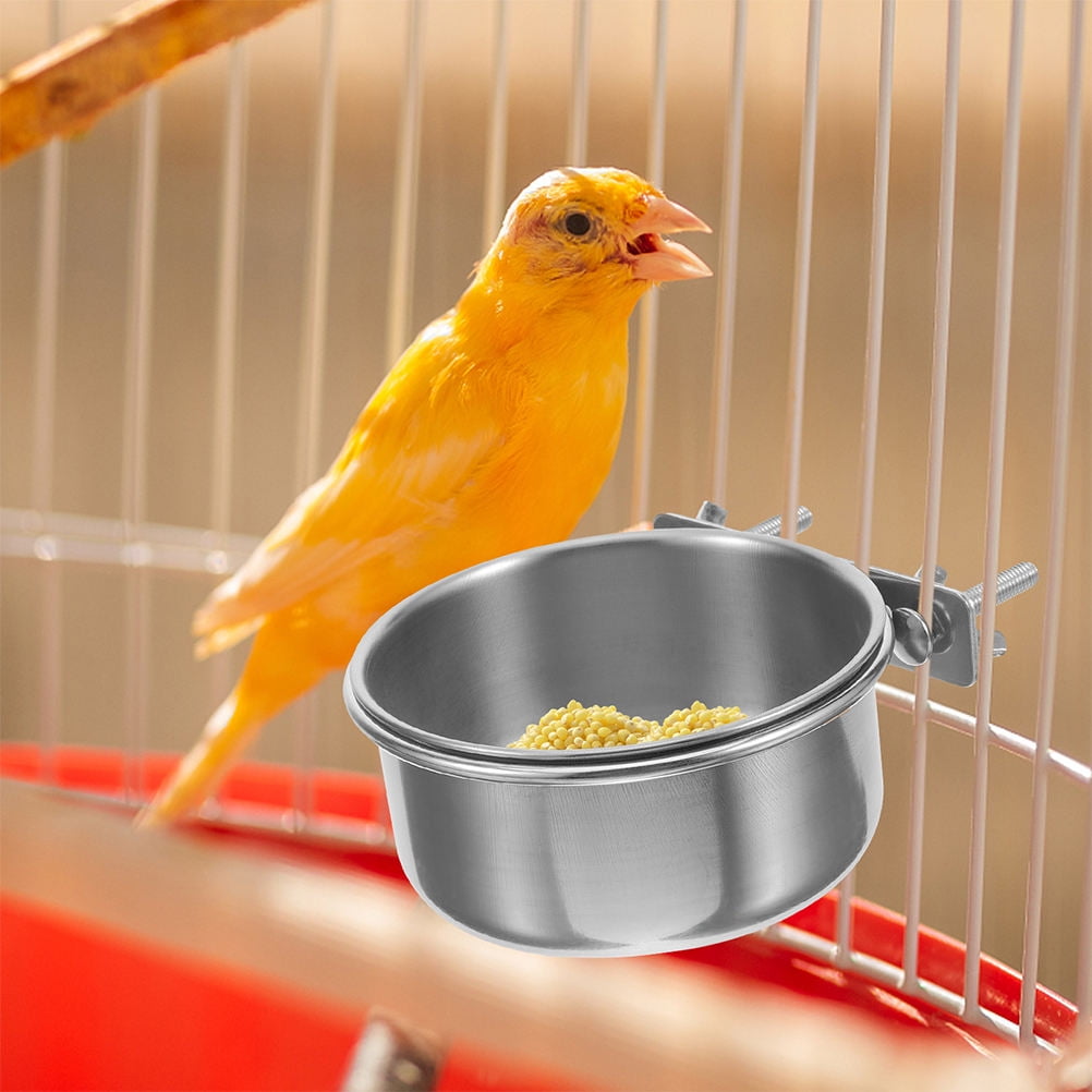 Curated visual reference: Ptootp Stainless Steel Bird Cage Bowl Attachment And Versatile Feeder Photo Inspiration
