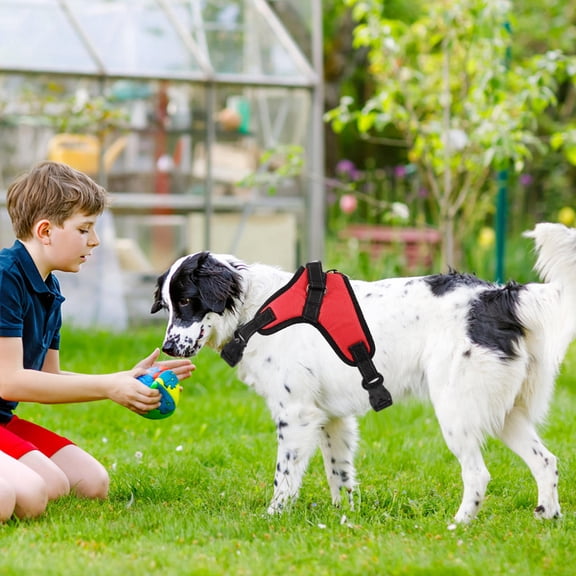 PTOOTP Red Mesh Dog Harness Medium Durable Fabric Easy to Apply Freely Move