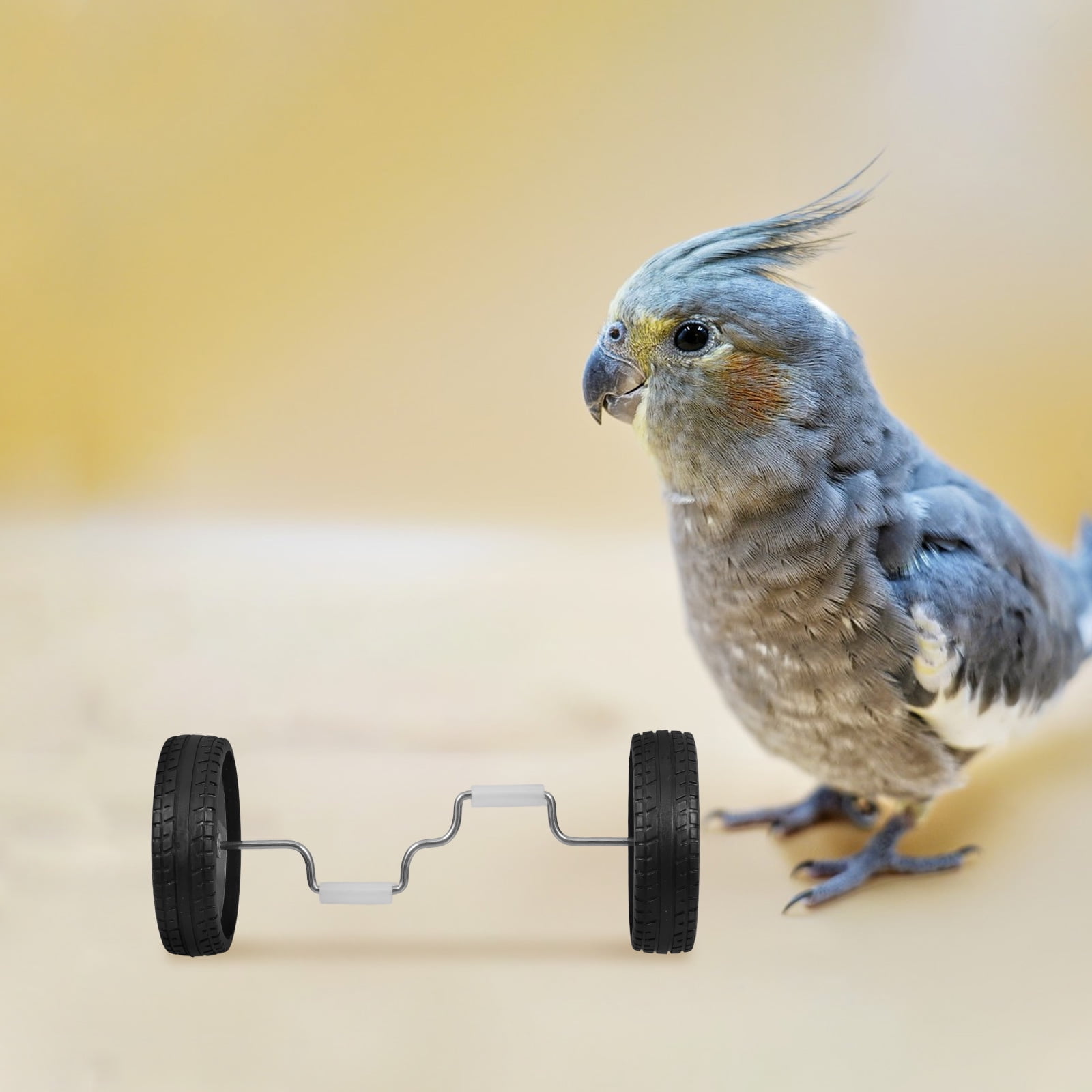 PTOOTP 1Set Parrot Balance Training Wheel with Bird Feeder Bowl ...
