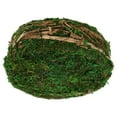 thumbnail image 1 of PTOOTP Round Planter with Air Circulation - 1 Pack Garden Pot for Indoor and Outdoor Plant, 1 of 8
