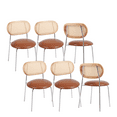 thumbnail image 1 of PU& Rattan Dining Chairs, Industrial Dining Chair with Silver Metal Legs, Leisure Upholstered Dining Chairs, Accent Desk Chair for Dining Room, Kitchen, Vanity, Living Room(Brown,Set of 6), 1 of 8