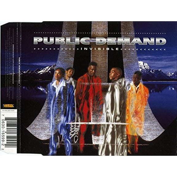 PUBLIC DEMAND-INVISIBLE -CDS-