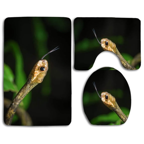 PUDMAD Aplopeltura Boa Blunthead Slug Snake 3 Piece Bathroom Rugs Set Bath Rug Contour Mat and Toilet Lid Cover