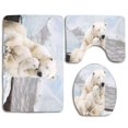 thumbnail image 1 of PUDMAD Baby Polar Kiss Mother 3 Piece Bathroom Rugs Set Bath Rug Contour Mat and Toilet Lid Cover, 1 of 2