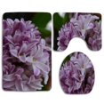 thumbnail image 1 of PUDMAD Beautiful Hyacinth 3 Piece Bathroom Rugs Set Bath Rug Contour Mat and Toilet Lid Cover, 1 of 2