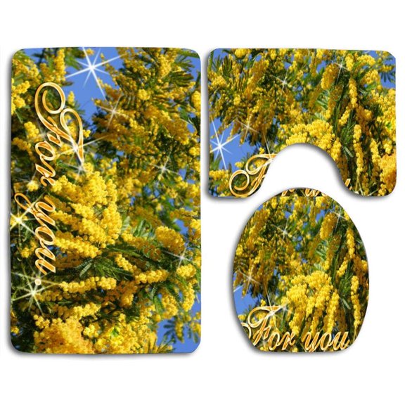 PUDMAD Bright Days for My Friends in Dn 3 Piece Bathroom Rugs Set Bath Rug Contour Mat and Toilet Lid Cover