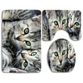 thumbnail image 1 of PUDMAD Brothers 3 Piece Bathroom Rugs Set Bath Rug Contour Mat and Toilet Lid Cover, 1 of 2