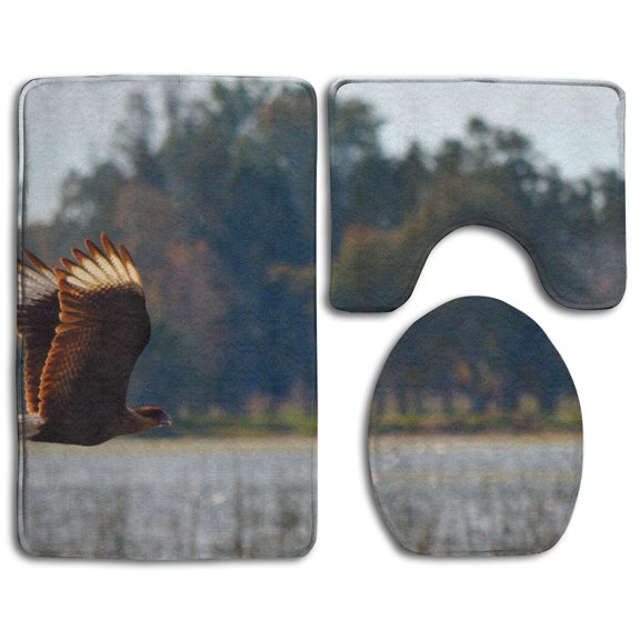 PUDMAD Brown Bird Caracara Flight 3 Piece Bathroom Rugs Set Bath Rug Contour Mat and Toilet Lid Cover