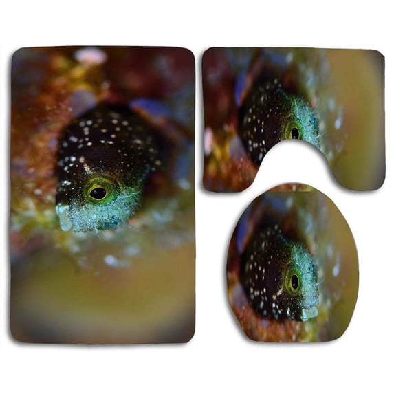 PUDMAD Coral Reef Wildlife 3 Piece Bathroom Rugs Set Bath Rug Contour Mat and Toilet Lid Cover