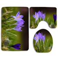 thumbnail image 1 of PUDMAD Crocuses 3 Piece Bathroom Rugs Set Bath Rug Contour Mat and Toilet Lid Cover, 1 of 2