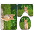 thumbnail image 1 of PUDMAD Curious Tabby Kitten 3 Piece Bathroom Rugs Set Bath Rug Contour Mat and Toilet Lid Cover, 1 of 2