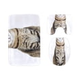 thumbnail image 1 of PUDMAD Cute Lovely Hairy Cartoon Pet Cat 3 Piece Bathroom Rugs Set Bath Rug Contour Mat and Toilet Lid Cover, 1 of 2